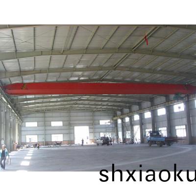 電動單(dan)樑(liang)起(qi)重機(ji)5