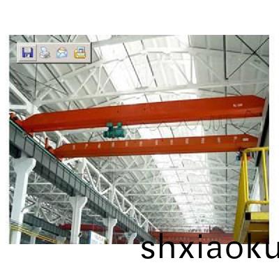 電動(dong)單(dan)樑(liang)起(qi)重(zhong)機13