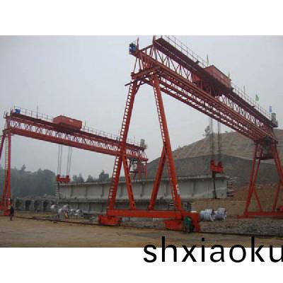 通(tong)用門(men)式起(qi)重(zhong)機10