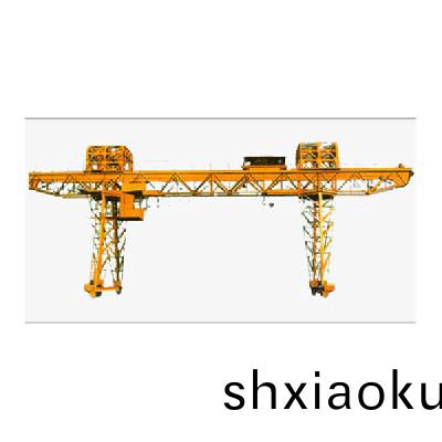 電(dian)動(dong)葫蘆(lu)門(men)式起重機(ji)3