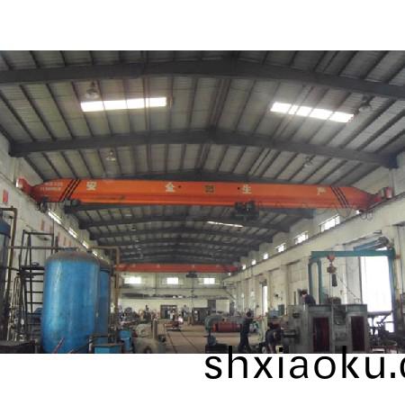 電(dian)動(dong)單(dan)樑起重機11